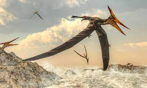 journey_thumbnail