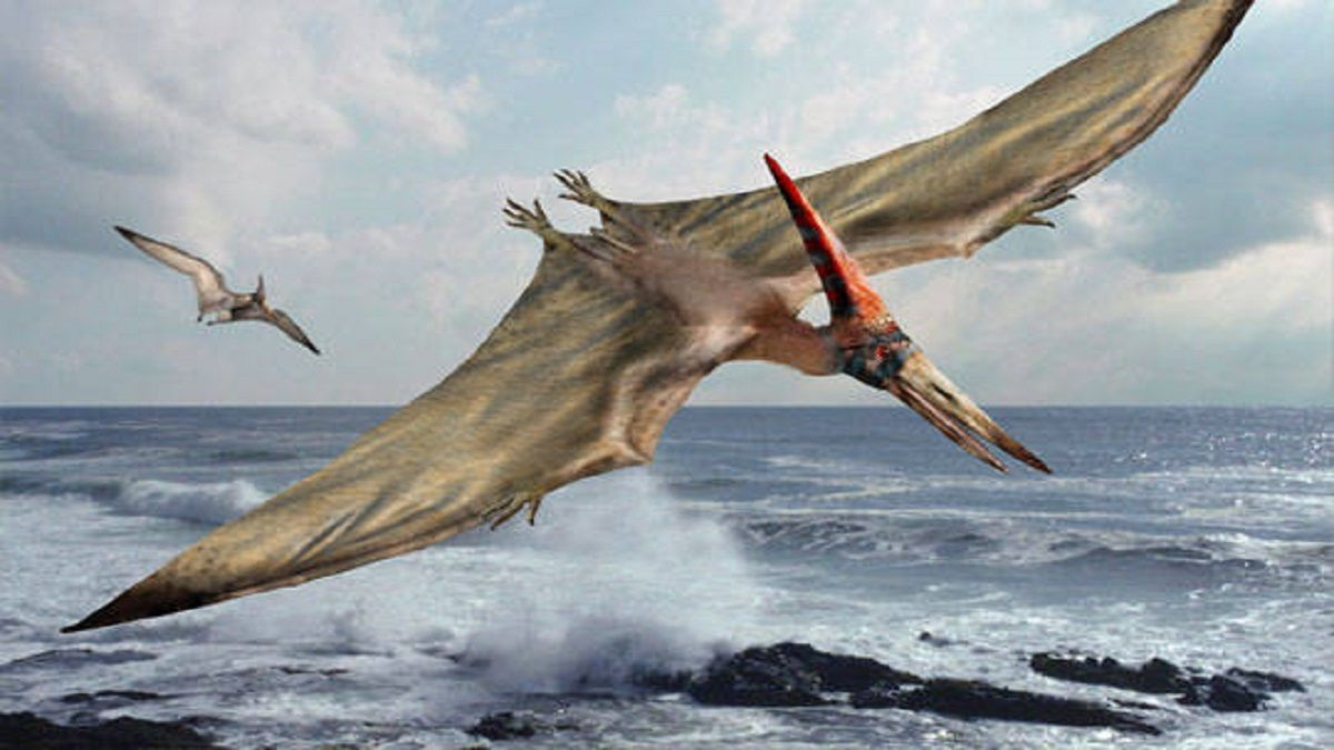 journey_thumbnail