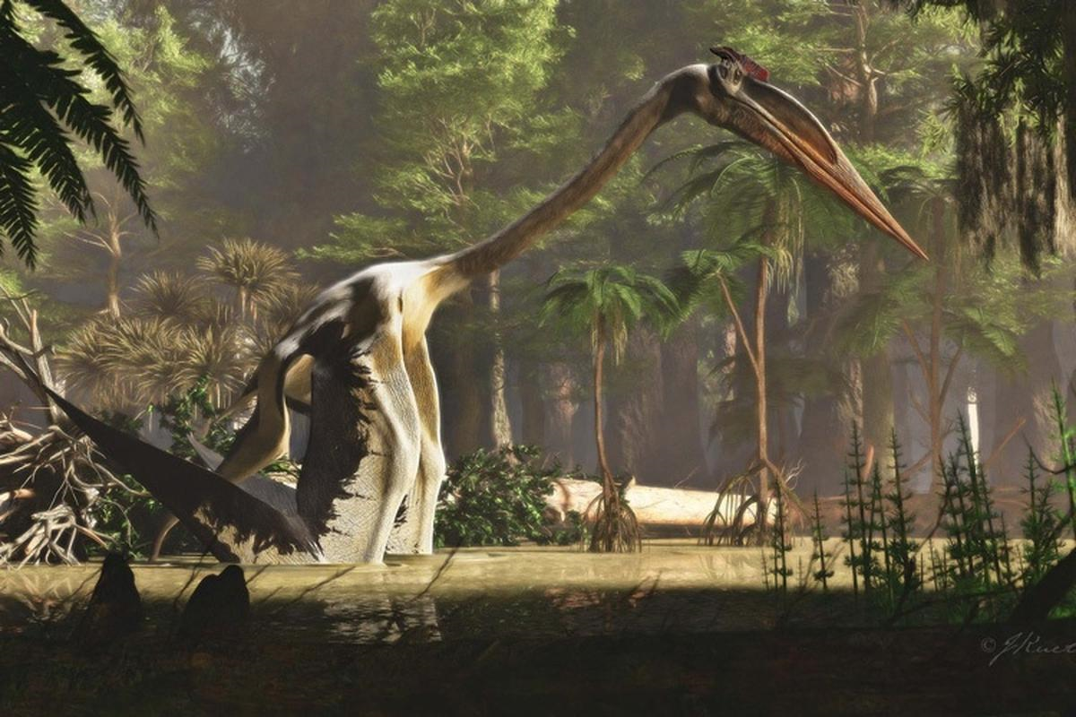 journey_thumbnail
