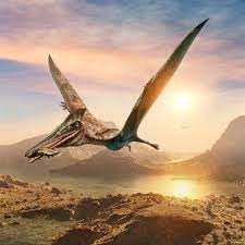 journey_thumbnail